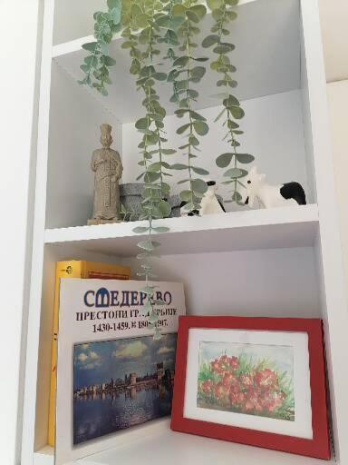 Anka Apartman Smederevo Exteriér fotografie