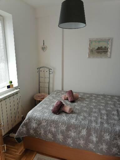 Anka Apartman Smederevo Exteriér fotografie