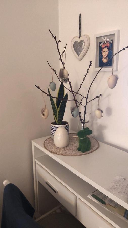 Anka Apartman Smederevo Exteriér fotografie