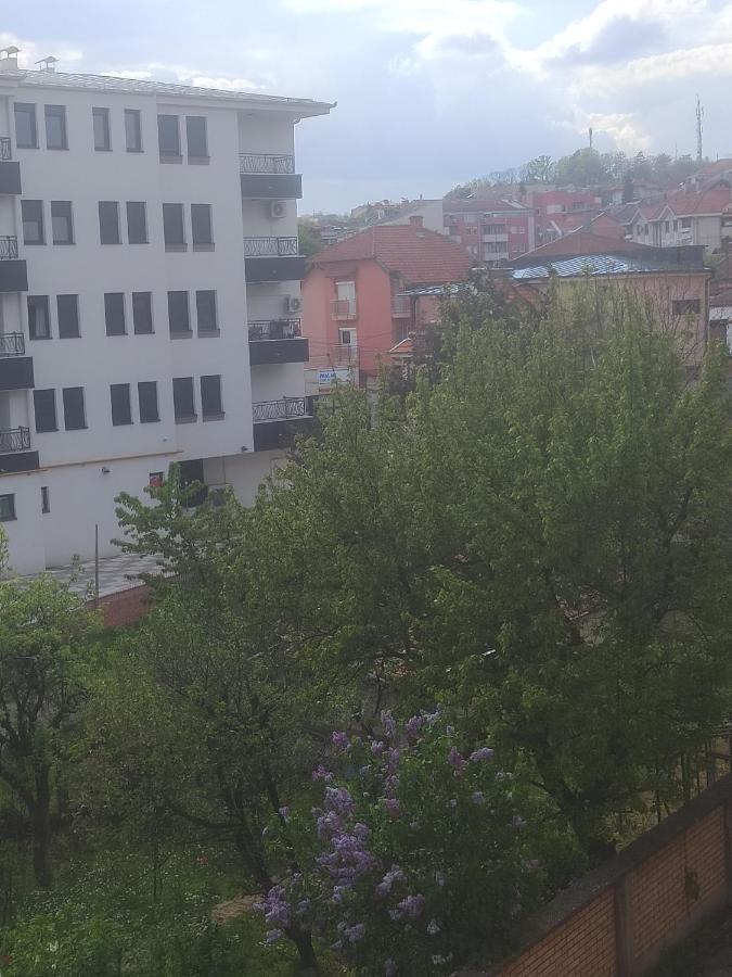 Anka Apartman Smederevo Exteriér fotografie